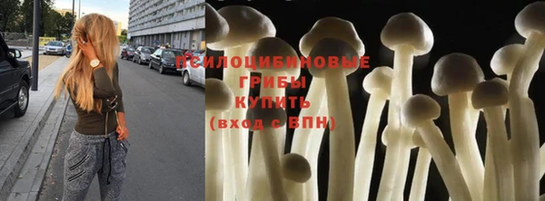 бошки Кинешма