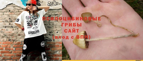 спайс Киренск