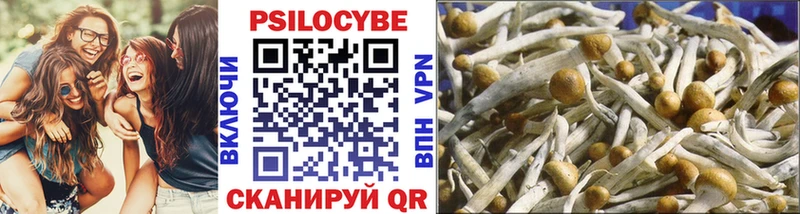 Псилоцибиновые грибы мухоморы  Купить где  Меленки 